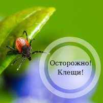 Безопасный час "Осторожно, клещи". Профилактика клещевого и вирусного энцефалита в весенне - летний сезон" Безопасный час "Осторожно, клещи". Профилактика клещевого и вирусного энцефалита в весенне - летний сезон".